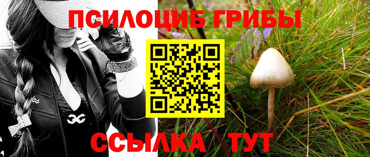 Галлюциногенные грибы прущие грибы  Вход с VPN  Кандалакша  Псилоцибиновые грибы MAGIC MUSHROOMS 