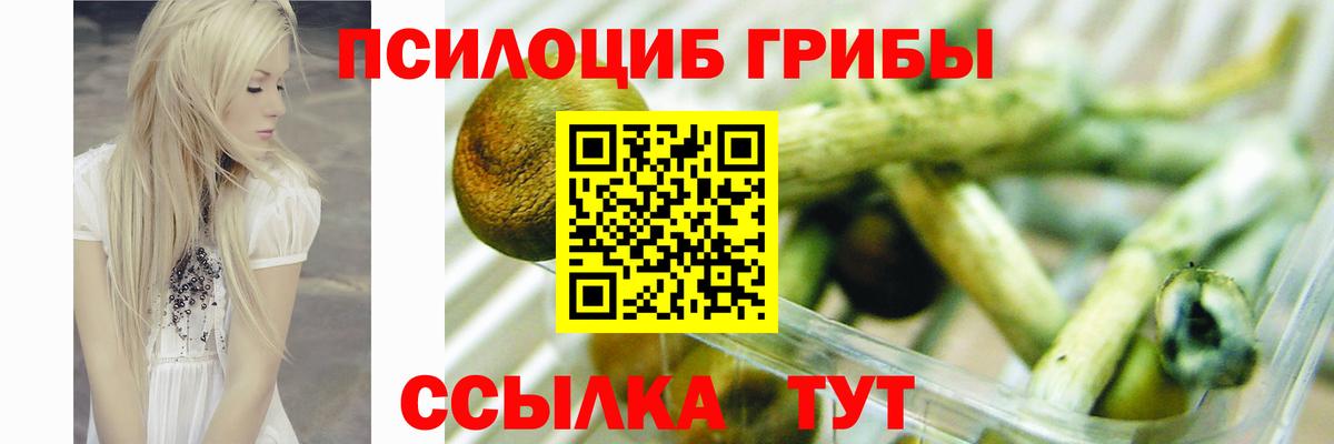 Галлюциногенные грибы Cubensis Кандалакша